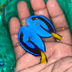 Regal Tang
